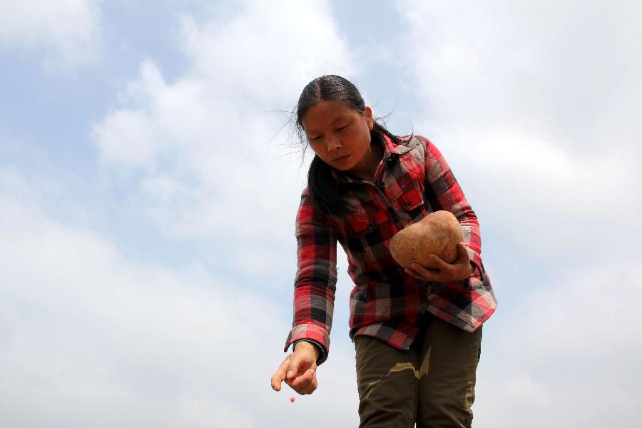 Farmers plant corn in the field in Chengguan Township of Neihuang County in Anyang City, central China's Henan Province, May 27, 2013. Farmers here take advantage of recent rainfalls to plant such crops as corn and peanuts. (Xinhua/Liu Xiaokun) 