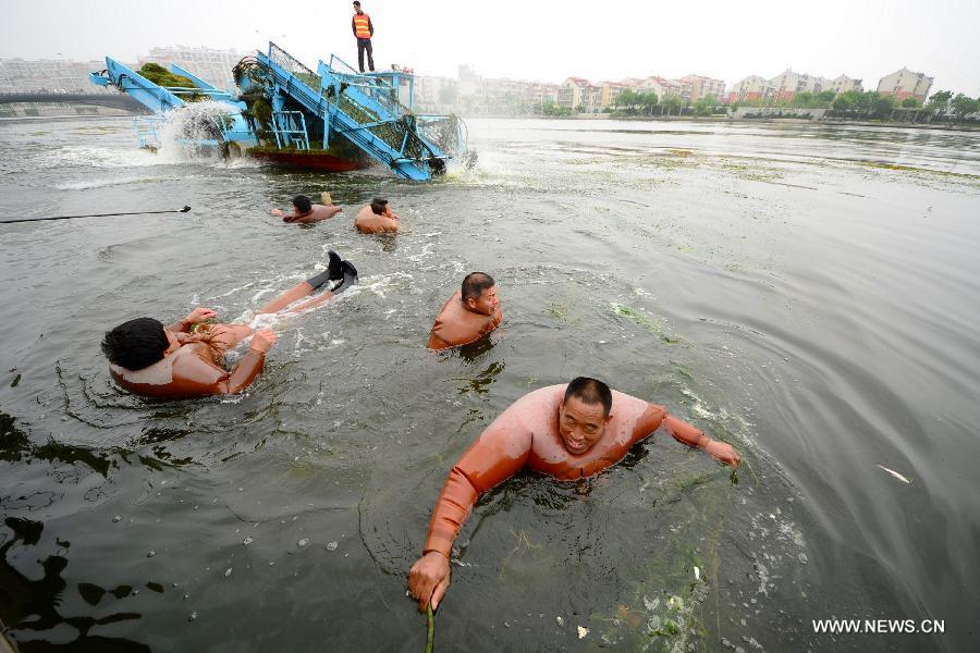 Members of the local water authority clear overgrown waterweeds to improve the environment of the Haihe River in Tianjin Municipality, north China, May 28, 2013. (Xinhua/Wang Xiaoming)