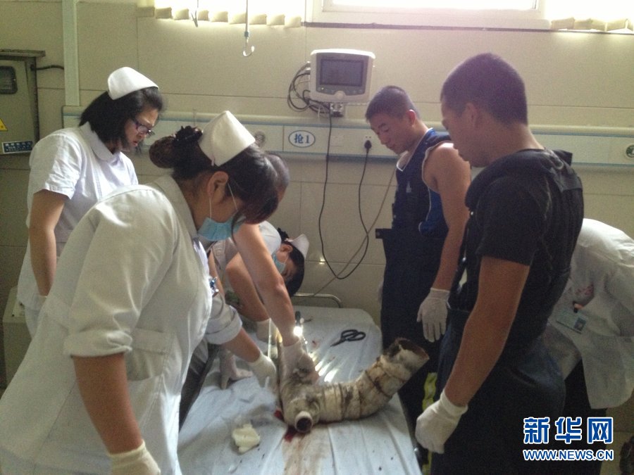 Rescuers discuss the next plan for cutting the pipe. Medical staff stood by on the side. (Xinhua Photo)