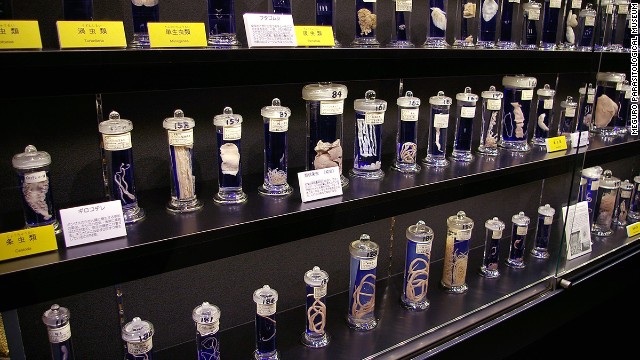 Meguro Parasitological Museum, Japan (Photo Source: huanqiu.com)