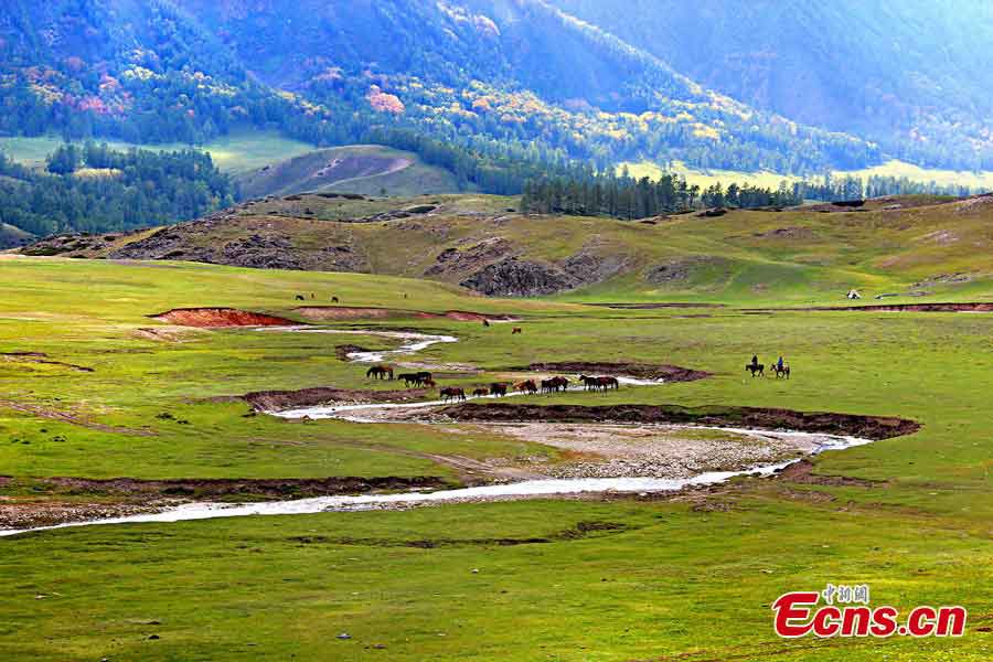 Photo taken in May shows the picturesque landscape of the grasslands in Altay, Northwest China's Xinjiang Uygur Autonomous Region. (Wang Hongshan)