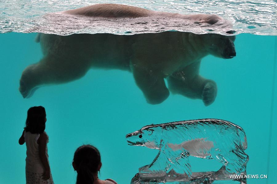 Children closely watch the locally bred polar bear Inuka at the Singapore Zoo, May 29, 2013. The Singapore Zoo celebrated the moving of Inuka, the first polar bear born in the Singapore Zoo and the tropics, into its new enclosure by hosting a housewarming ceremony on Wednesday. (Xinhua/Then Chih Wey) 