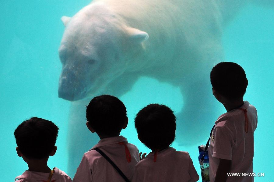 Children closely watch the locally bred polar bear Inuka at the Singapore Zoo, May 29, 2013. The Singapore Zoo celebrated the moving of Inuka, the first polar bear born in the Singapore Zoo and the tropics, into its new enclosure by hosting a housewarming ceremony on Wednesday. (Xinhua/Then Chih Wey) 