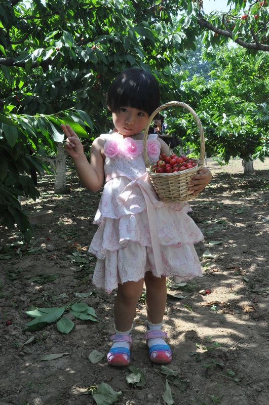 A little girl shows her cherries. (People’s Daily Online/Wang Jinxue)