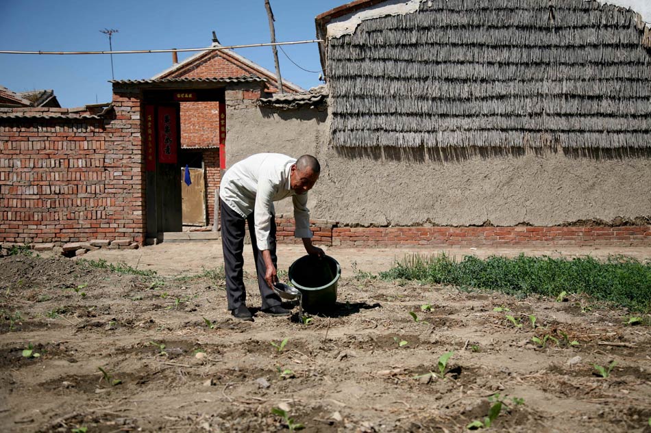 Wang does the farm work on May 12, 2013. (Xinhua/Ren Lihua)