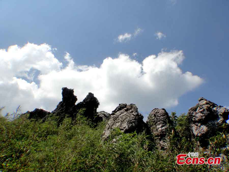 Photo taken on June 5, 2013 shows the scenery of Shennongjia in Central China's Hubei Province. The Sixth China International Eco-Cultural Tourism Festival kicked off here on Wednesday. (CNS/Ai Qiping)