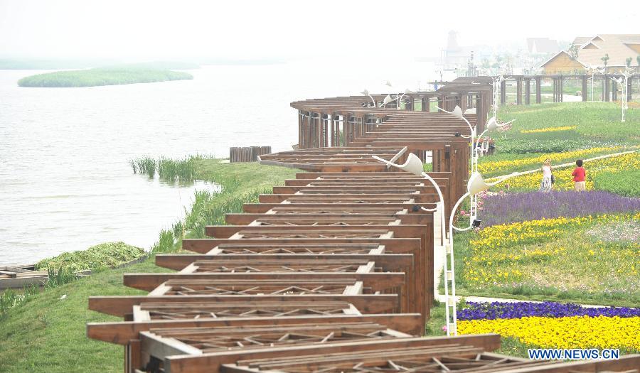 Photo taken on June 8, 2013 shows the view in the Qilihai National Wetland Park in Ninghe County, north China's Tianjin. The park was officially opened to the public on Saturday. (Xinhua/Yue Yuewei)