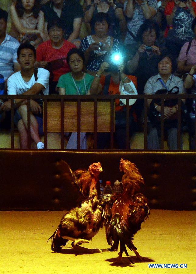 Tourists watch cock fighting on the Cultral Week for the annual Dragon Boat Festival in Kaifeng, central China's Henan Province, June 9, 2013. The week-long event, which was kicked off here Sunday, will held a series of activities of folk custom, showcasing local intangible cultural heritage to tourists. (Xinhua/Wang Song)