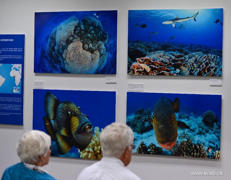 Tourists look at pictures on display during an exhibition on ocean-related subjects, at the UN headquarters in New York, the United States, on June 10, 2013. In observance of World Oceans Day, experts highlighted the impact of climate change and degradation of the marine environment at the UN headquarters on Monday, in an effort to raise global awareness of the challenges faced by the international community in connection with the oceans. (Xinhua/Niu Xiaolei)