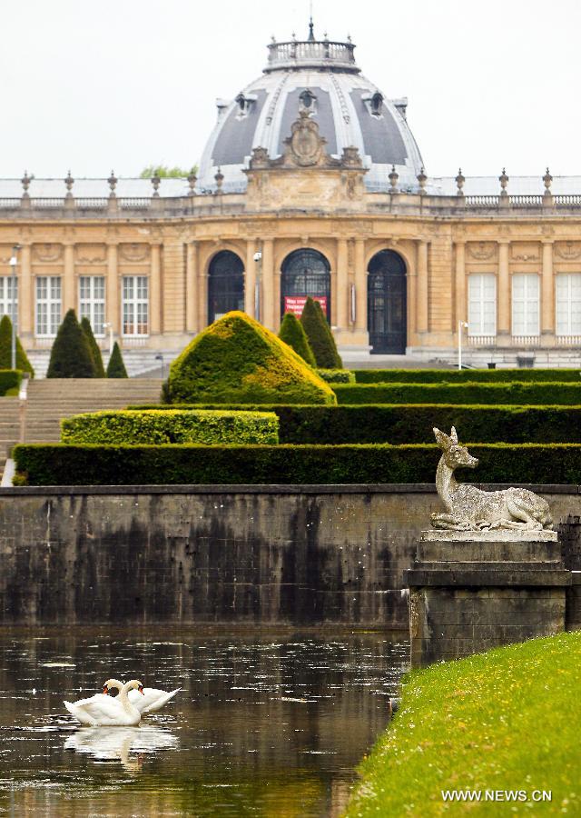 Two swans rest at a park in the eastern suburbs of Brussels, capital of Belgium, on June 11, 2013. Local residents go to parks to enjoy the sunshine after experiencing a long and gloomy spring this year. (Xinhua/Zhou Lei)