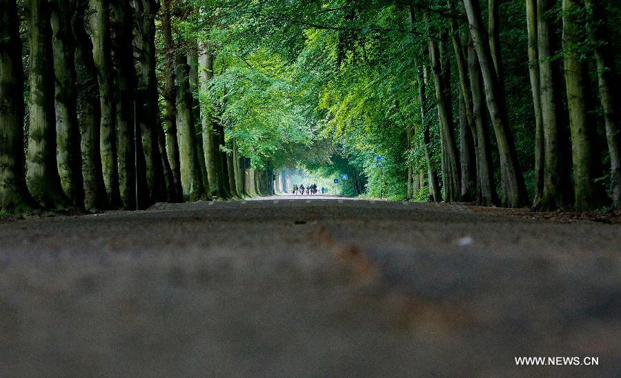 Students ride bicycles at a park in the eastern suburbs of Brussels, capital of Belgium, on June 11, 2013. Local residents go to parks to enjoy the sunshine after experiencing a long and gloomy spring this year. (Xinhua/Zhou Lei)