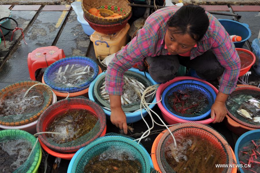 A woman waits for customers at the fishing market of the Qinglan port in Wenchang City, south China's Hainan Province, June 11, 2013. (Xinhua/Shi Manke)