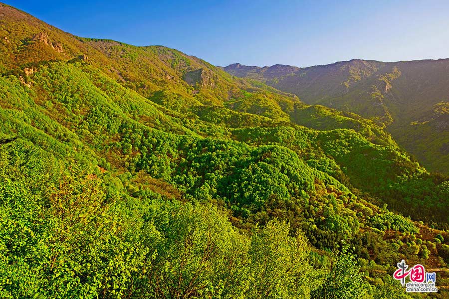 Located in Miyun County some 150 kilometers east of Beijing, Wuling Mountain is a national-level forest reserve. What distinguishes the reserve from other similar mountain resorts in suburban Beijing is its many creeks, waterfalls and moisture-rich air. (China.org.cn)