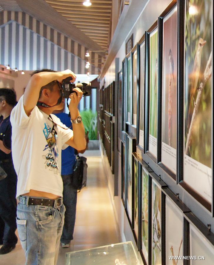 A visitor takes photos of an exhibited picture at a gallery in Baotou of north China's Inner Mongolia Autonomous Region, June 16, 2013. A gallery showing birds-related photos witnessed a lot of visitors here on Sunday. (Xinhua/Zhao Tingting)