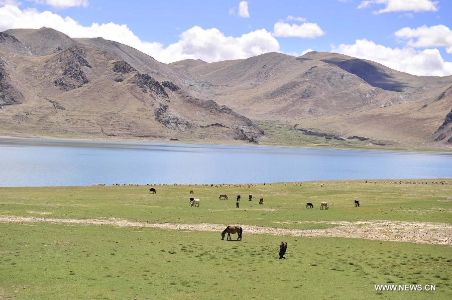 Photo taken on June 16, 2013 shows the scenery of the Yamzhog Yumco Lake in Shannan Prefecture, southwest China's Tibet Autonomous Region. (Xinhua/Liu Kun)