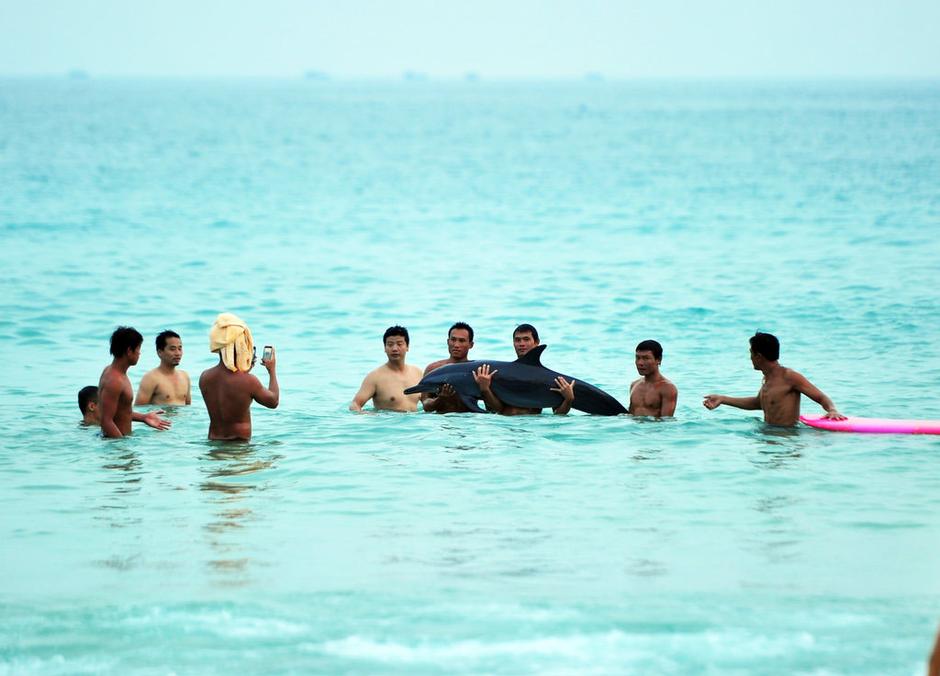 Photos showing the men lifting and posing with the dolphin.(Photo/ Guangming Online)