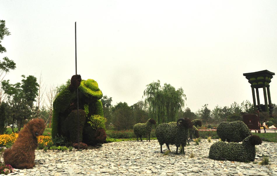 Photo taken on June 15, 2013 shows the beautiful scenery in Garden Expo Park in Fengtai District, Beijing. (PD Online/Du Mingming)