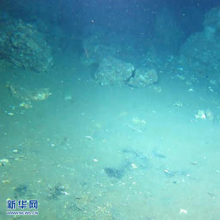 The deep-sea picture which Jiaolong captures on June 17, 2013. (Photo/Xinhua)