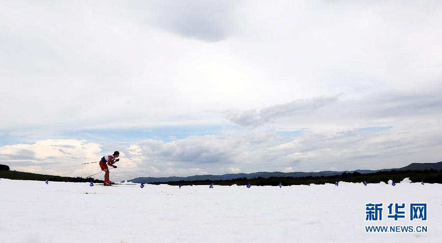 Swedish skier Eriksson is in men's racing, June 19, 2013. (Xinhua/Liying)