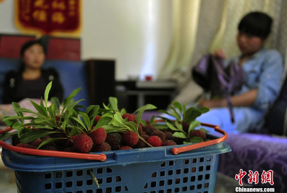 Family members of a one-year-old hemophiliac give Duan a basket of red berries. The family has received help from Duan's hemophiliacs association. (Photo/CNS) 