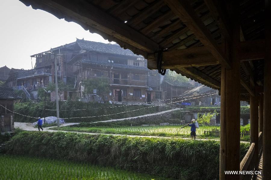 People walk on a pathway in Dimen Dong minority village in Liping County of southwest China's Guizhou Province, June 21, 2013. Dimen is a Dong minority village with about 2,500 villagers. It is protected properly and all the villagers could enjoy their peaceful and quiet rural life as they did in the past over 700 years. (Xinhua/Ou Dongqu) 