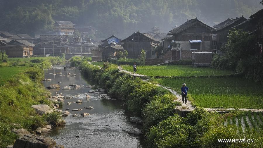 LIPING, June 21, 2013 (Xinhua) -- People walk on a pathway in Dimen Dong minority village in Liping County of southwest China's Guizhou Province, June 21, 2013. Dimen is a Dong minority village with about 2,500 villagers. It is protected properly and all the villagers could enjoy their peaceful and quiet rural life as they did in the past over 700 years. (Xinhua/Ou Dongqu) (yxb) 