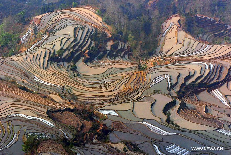 Photo take on February 14, 2005 shows the rice terraces in Yuanyang County of Honghe Prefecture, southwest China's Yunnan Province. The UNESCO's World Heritage Committee inscribed China's cultural landscape of Honghe Hani Rice Terraces onto the prestigious World Heritage List on Saturday, bringing the total number of World Heritage Sites in China to 45. (Xinhua/Lin Yiguang) 