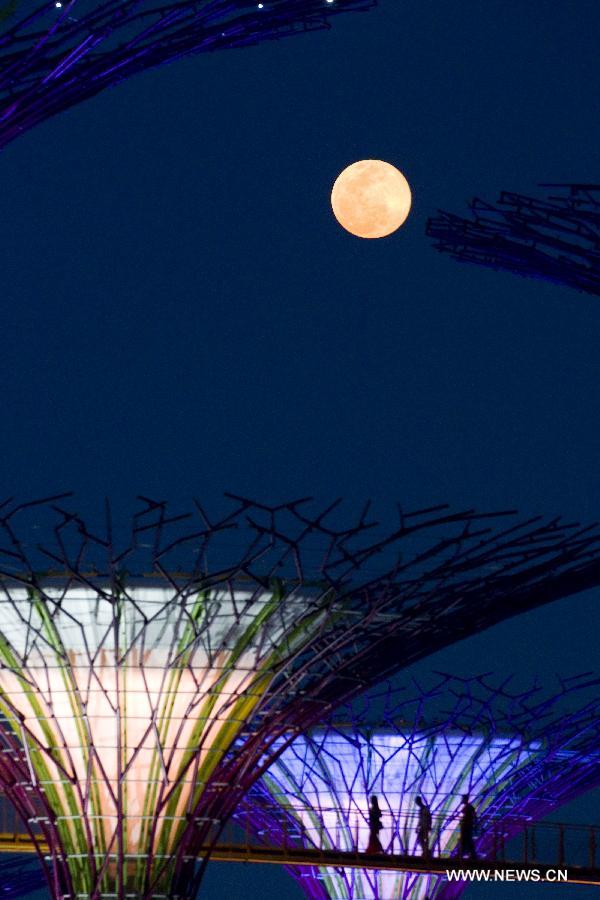 The super moon rises over the Supertrees of the Gardens by the Bay in Singapore's Marina South, on June 23, 2013. Singapore's Pollution Standards Index (PSI) dropped to 75 at 7 o'clock on the evening of Sunday due to a change of wind direction. (Xinhua/Then Chih Wey)