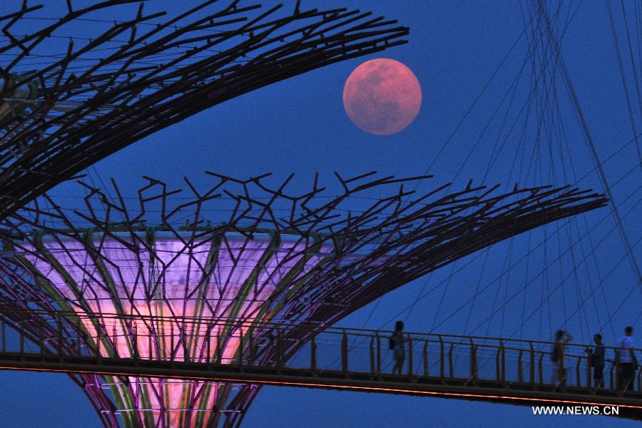 The super moon rises over the Supertrees of the Gardens by the Bay in Singapore's Marina South, on June 23, 2013. Singapore's Pollution Standards Index (PSI) dropped to 75 at 7 o'clock on the evening of Sunday due to a change of wind direction. (Xinhua/Then Chih Wey)
