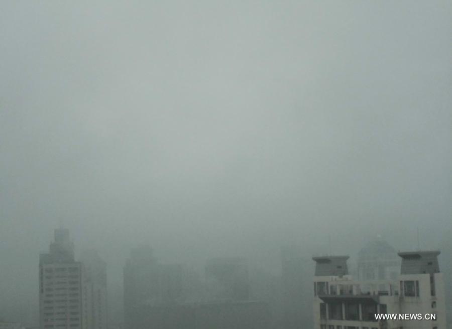 Rainfall hits Nanjing, capital of east China's Jiangsu Province, June 25, 2013. Heavy rainfall hit many parts of Jiangsu on Tuesday. (Xinhua/Wang Yuewu)