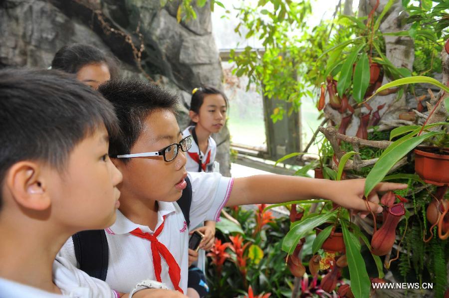 Students from Huiwen No.1 primary school look at common nepenthes when visiting a greenhouse in the botanic garden in Beijing, capital of China, June 25, 2013. Students from a biology group of the Huiwen No.1 primary school visited Beijing Botanic Garden Tuesday to enrich their understanding of various plants. (Xinhua/Chen Yehua)  