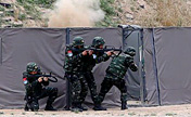 Chinese, Russian special forces in joint training
