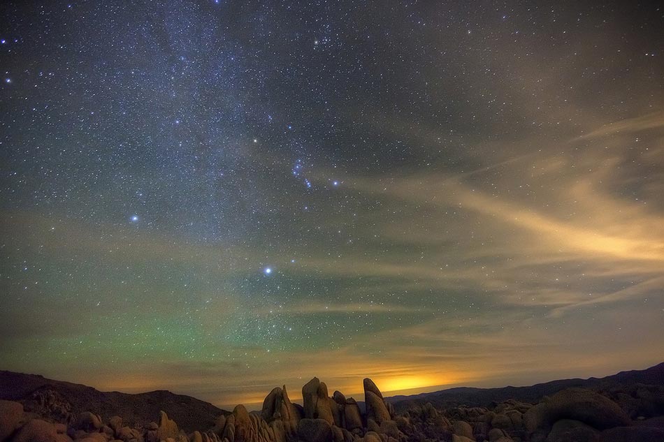 Joshua Tree National Park, U.S.  (huanqiu.com)