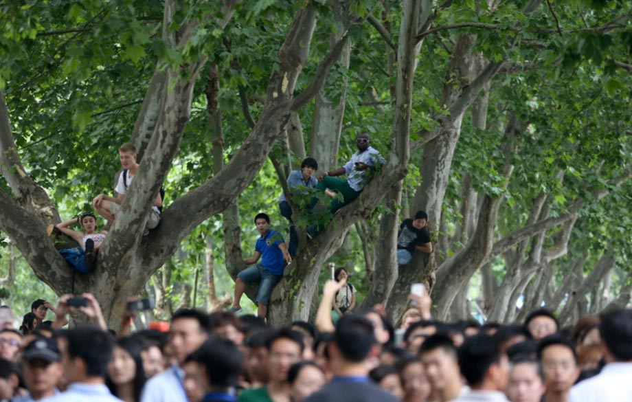 David Beckham’s fans climb on the tree to see him on the fourth day of the superstar’s China visit on June 20, 2013. (Photo/CNTV)