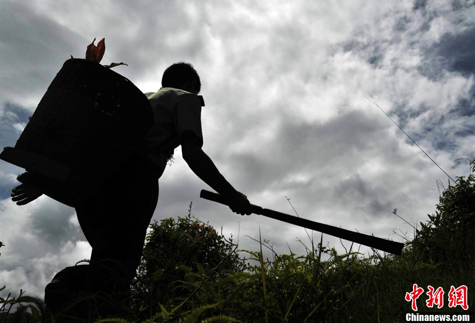 In the past nine years, Li Yundong taught villagers the knowledge of drug rehabilitation. In addition, he managed to help 43 drug addicts get rid of drug addiction. Today the number of people infected by HIV in the village has been effectively controlled. (CNS/He Yaxin)