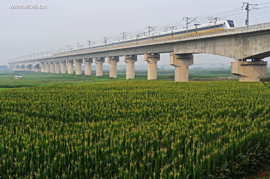 A bullet train runs during its trial trip on the Cao'e River Bridge in east China's Zhejiang Province, June 29, 2013. A new high-speed railway that stretches across east China's Yangtze River Delta is scheduled to go into commercial service on July 1. The Nanjing-Hangzhou-Ningbo high-speed railway, with a designated top speed of 350 km per hour, will cut travel time between Nanjing, capital of east China's Jiangsu Province, and the port city of Ningbo in east China's Zhejiang Province to about two hours. High-speed trains will run at a speed of 300 km per hour during the initial operation period. (Xinhua/Tan Jin)