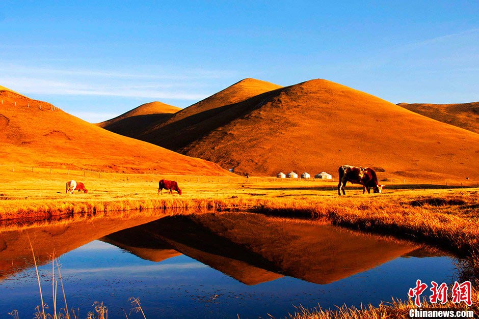 (Source: Chinanews.com/Photographer: Hou Minglei)