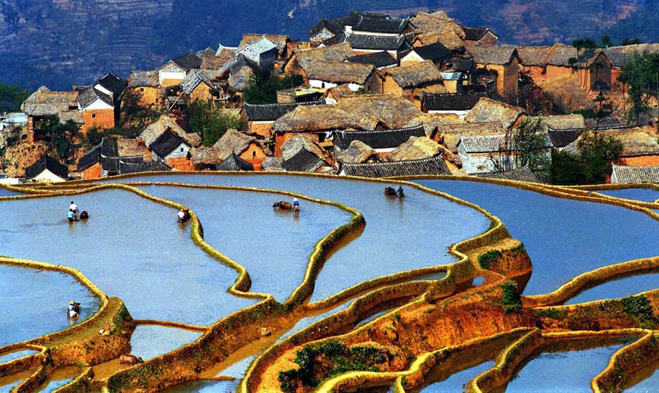 Hani Terrace, in southwest China's Yunnan province, is put on the UNESCO's World Heritage List at the 37th World Heritage Conference held in Phnom Penh, Cambodia on June 22 2013. (Photo/Xinhua)