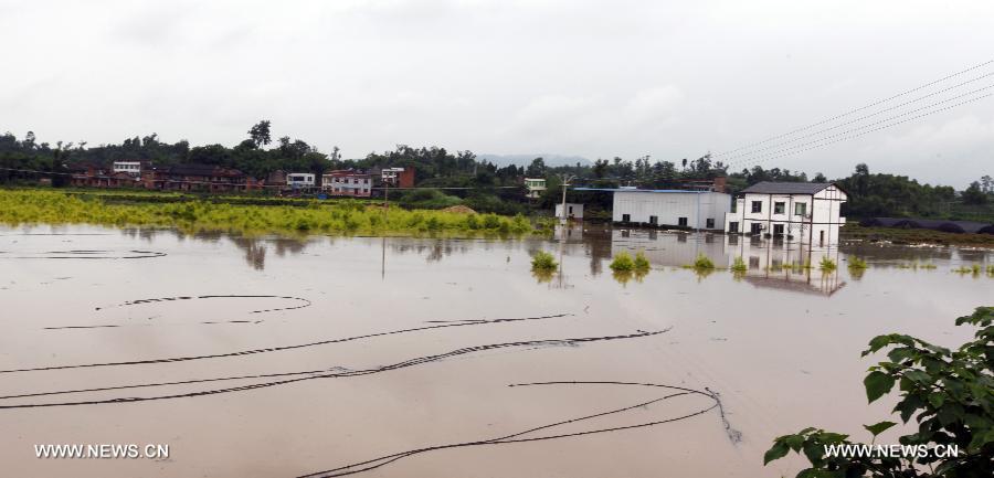 Photo taken on July 1, 2013 shows half-submerged houses in Tongliang County of Chongqing, southwest China. Rainstorms swept the county on Sunday and Monday, waterlogging roads and houses. (Xinhua/Tang Mingbing) 