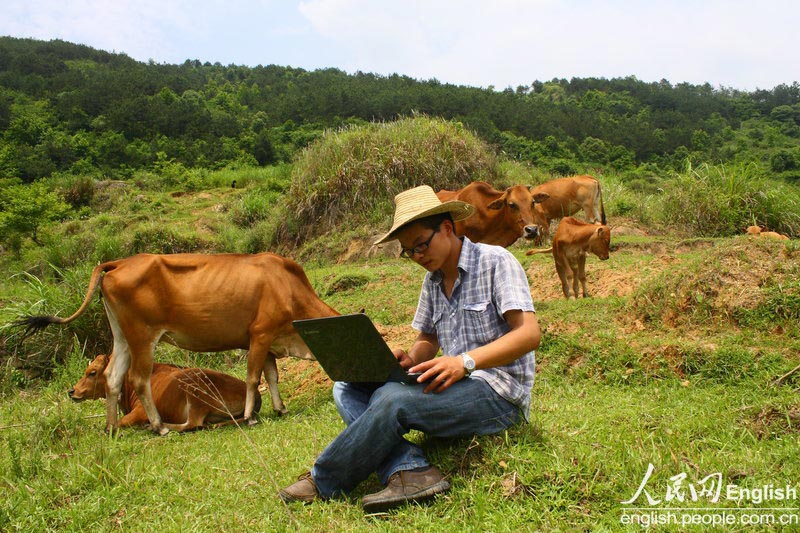 He Gen studies market information of cattle during the break of looking after cattle on May 22, 2012.  He was born in 1990s, and gave up the teacher’s job to be a cattleman.(Photo/CFP)  