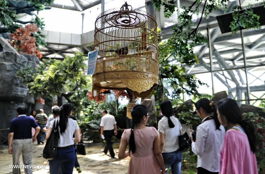 People visit the Ordos Zoo in Ordos, north China's Inner Mongolia Autonomous Region, July 3, 2013. Built in July, 2012 and taking up 12 square kilometers, the zoo has become a hot spot for vacations in summer, attracting nearly 40,000 visitors every month. (Xinhua/Zhao Tingting)  