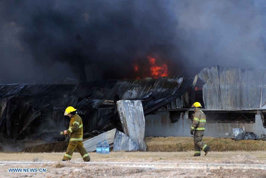 Firemen try to extinguish a fire in a factory that produces candy containers and labels in Buenos Aires, Argentina, on July 7, 2013. The fire left at least on person injured and completly destroyed the main hall of the factory, according to the local press. (Xinhua/Alejandro Moritz/TELAM)