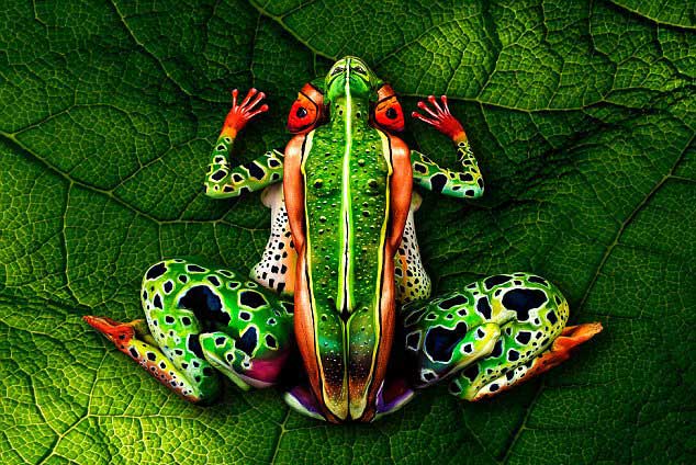 The visual artist Johannes Stoetter blends human bodies with the nature in his creative body painting artwork. This series of works takes Stoetter five months to plan; every work needs eight hours to complete. It is reported that Johannes Stoetter is from Italy and starts body painting in 2000. (Photo: china.com.cn)