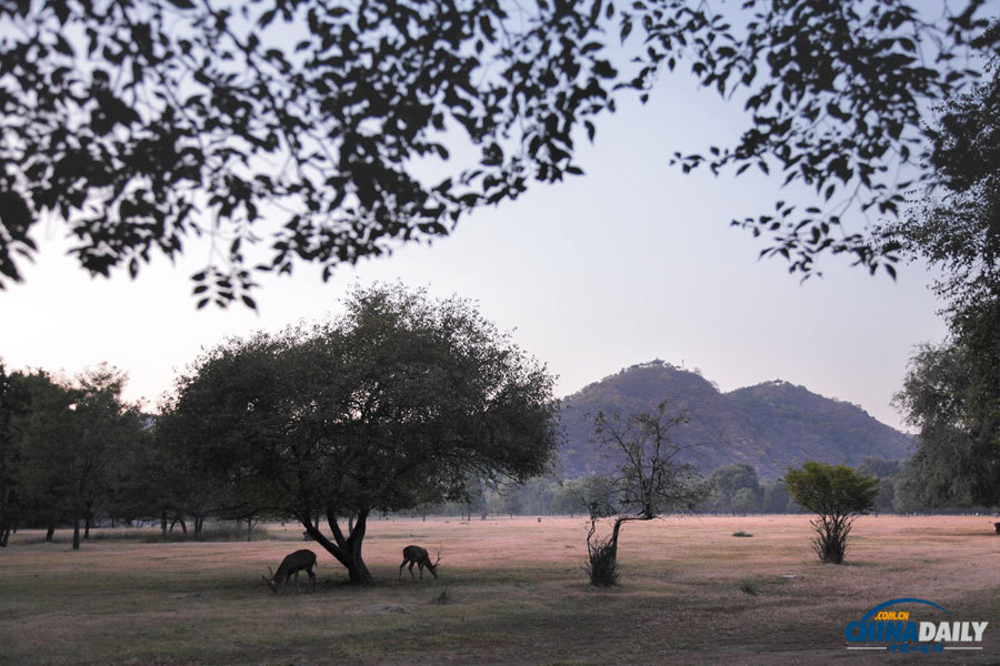 The photo shows the scenery of Wanshu garden(Garden of Ten Thousand Trees), it served as a temporary palace where Emperor Qianlong often received ethnic minority nobles, religious leaders and foreign envoys. There were over 20 yurts of different sizes, the largest of which is replicas of the one used by emperors. (Photo by Jia Yue for Chinadaily.com.cn)