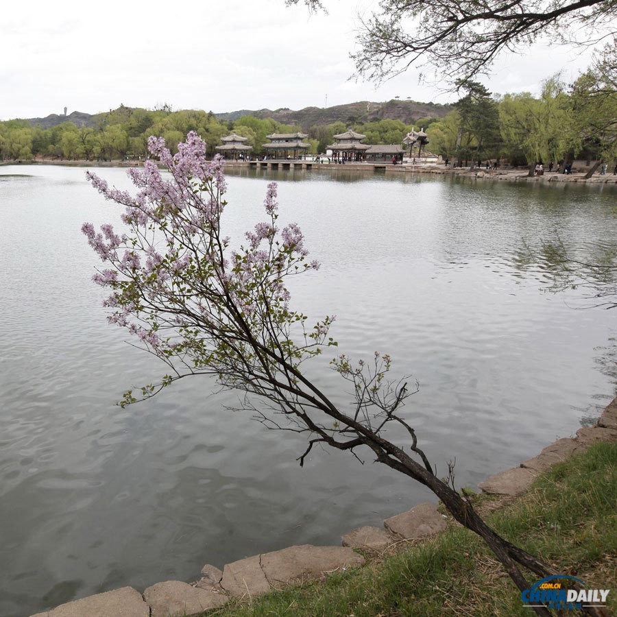 A part of the lake area in the Mountain Resort. (Photo by Jia Yue for Chinadaily.com.cn)