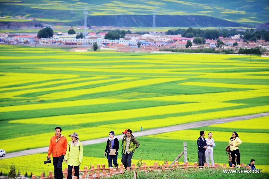 Visitors walk by rape flowers in Menyuan Hui Autonomous County, northwest China's Qinghai Province, on July 9, 2013. More than 500,000 mu (about 33,000 hectares) of rape flowers blossomed since July and attracted many tourists here. (Xinhua/Wu Gang) 