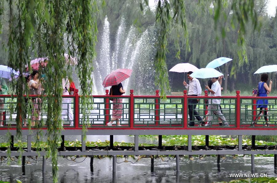 Tourists view lotus flowers in drizzle at Yuanmingyuan, the Old Summer Palace, in Beijing, capital of China, July 10, 2013. (Xinhua/Feng Jun)