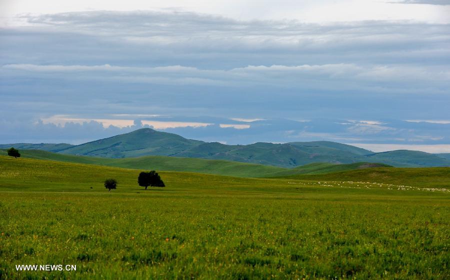 Photo taken on July 12, 2013 shows the view of local pasture in West Ujimqin Banner, north China's Inner Mongolia Autonomous Region. The pasture is part of the Xilingol, China's best preserved grassland which covers an area of 202,580 square kilometers. (Xinhua/Ren Junchuan) 