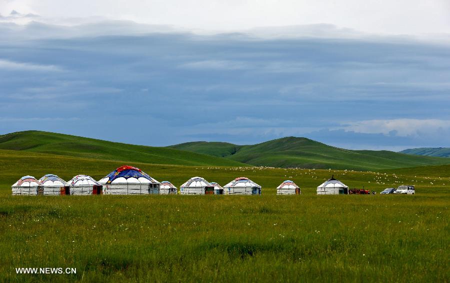 Photo taken on July 12, 2013 shows the view of local pasture in West Ujimqin Banner, north China's Inner Mongolia Autonomous Region. The pasture is part of the Xilingol, China's best preserved grassland which covers an area of 202,580 square kilometers. (Xinhua/Ren Junchuan) 