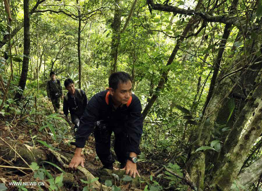 Hainan Gibbons monitoring team members patrol within the forest of the Bawangling National Nature Reserve in south China's Hainan Province, July 13, 2013. The Bawangling National Nature Reserve is the only nature reserve in China that protects Hainan Gibbons, a highly endangered species that is under first-class state protection. With the advent of three gibbon babies in the first seven months in 2013, the population of the gibbons has risen to 26 here. (Xinhua/Jiang Enyu)